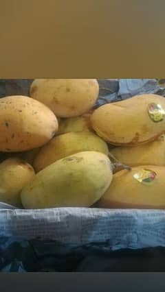 Fresh chunsa & anwer ratool available in very reasonable price