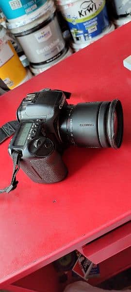 canon DSLR DS6031 2