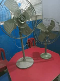 2 pedestal fans for sale