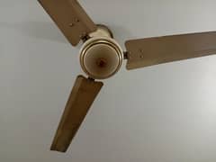 selling my ceiling fans