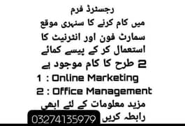 Male female staff required for online Work available