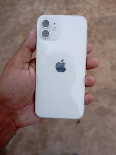 iPhone 12 contact only whatsapp 03434545797