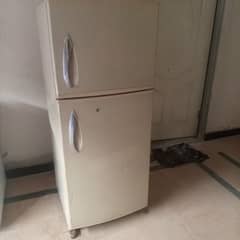 Fridge Medium Size