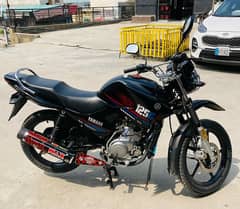 Yamaha YBR125G 2023 0