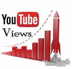 youtube vedio views service any amount of views