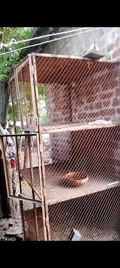 aseel murg pinjra cage 0