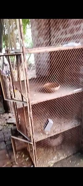 aseel murg pinjra cage 1