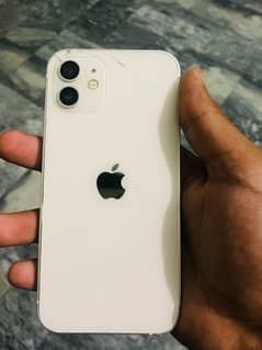 iPhone 12 non pta   128gb