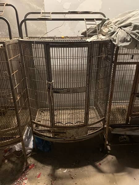 3 big parrot cages each cage 25000 1