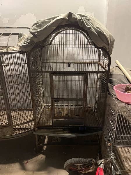 3 big parrot cages each cage 25000 2