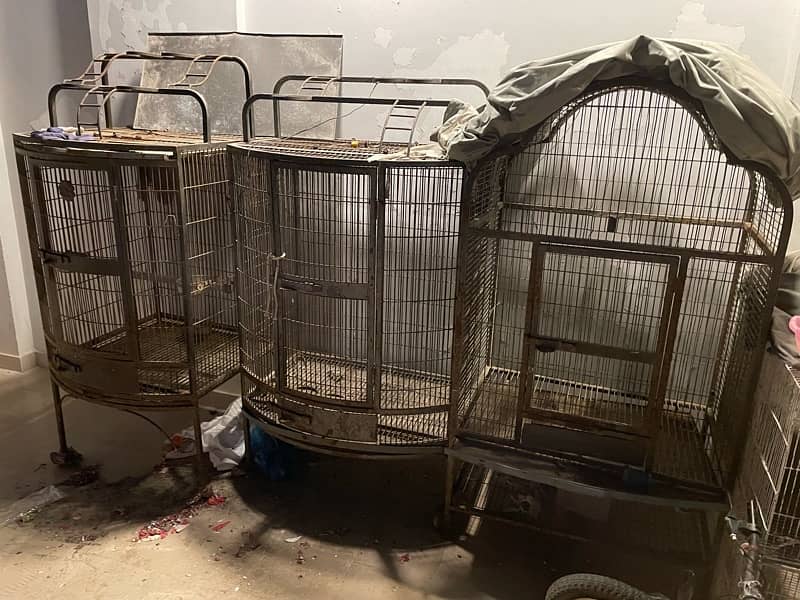 3 big parrot cages each cage 25000 3