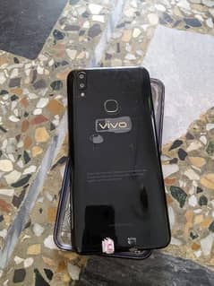 vivo