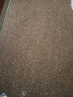 wall to wall carpet for sale