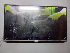 TCL 43 Inch LED panel broken