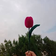 Crochet Flowers