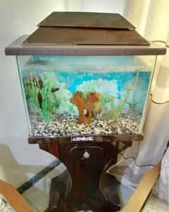 Fish Aquarium 03122583533