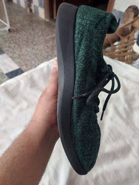 Allbirds Original Shoes. 1