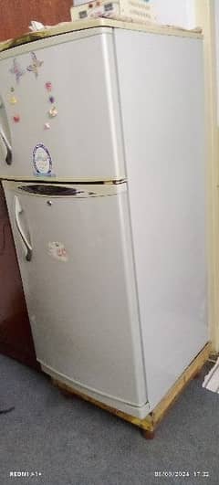 fridge for sel