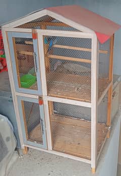 Beautiful Wooden Cage with Exhibition Parrot