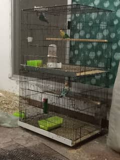 Love Birds Cages & Nesting Box