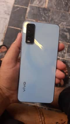 vivo