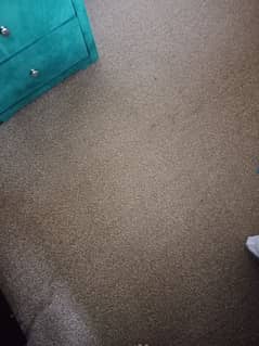 carpet