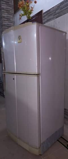 PEL Refrigerator for sale