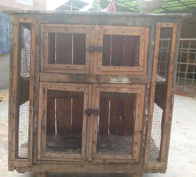 Hen cage 2