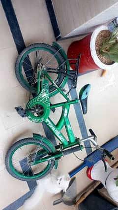 cycle for sale