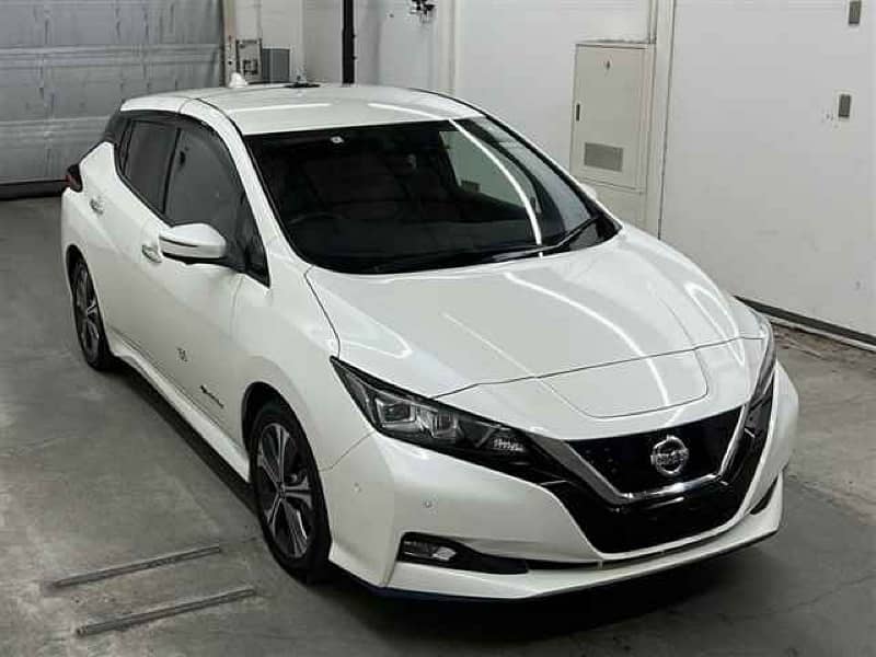 Nissan Leaf 2020 e+G - 62 KWH 6