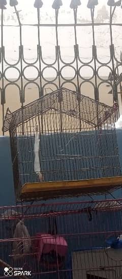 birds cage for sale