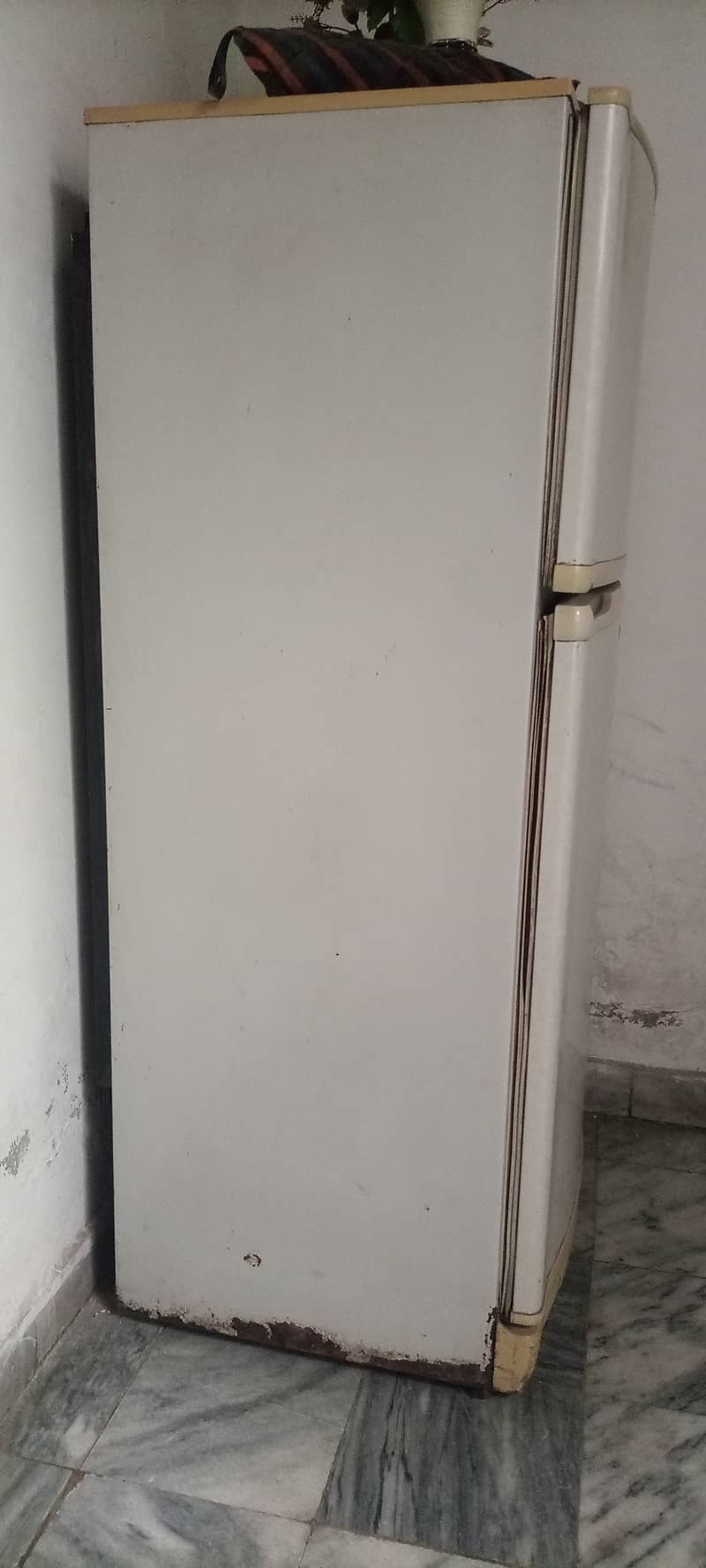 Pel Refrigerator (Used, need a little maintenance) 4