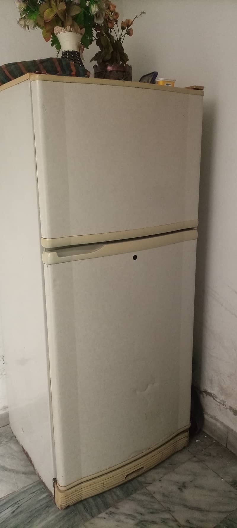 Pel Refrigerator (Used, need a little maintenance) 6