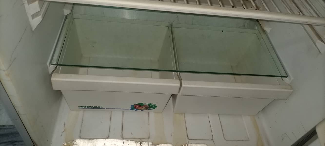 Pel Refrigerator (Used, need a little maintenance) 7