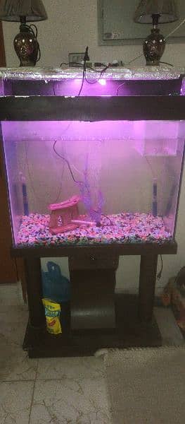 aquarium available 0