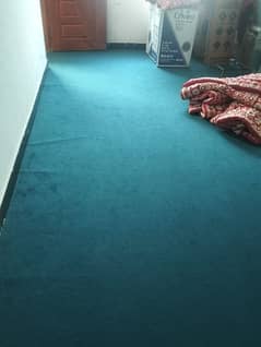 Carpet with 16 x 12 in size