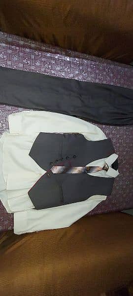 Dress pant /pant coat 3