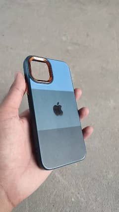 Iphone 11 Pro Back Cover