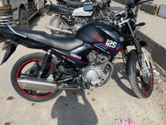 YBR 125g