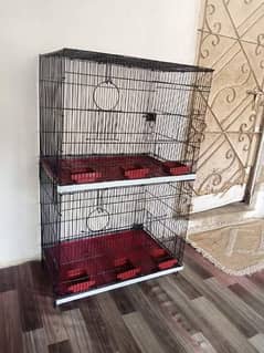 brand New Doves cage available