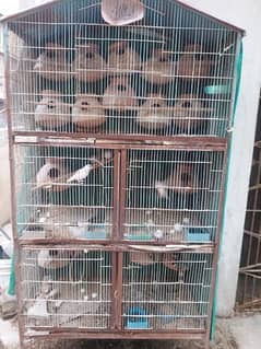 5 portion iron cage for sale