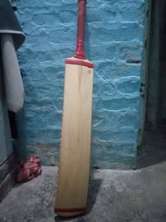 tape ball cricket Bat.