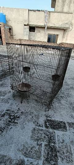 2x2 cage for sale