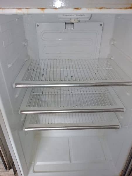 Dowlance Fridge large size 6