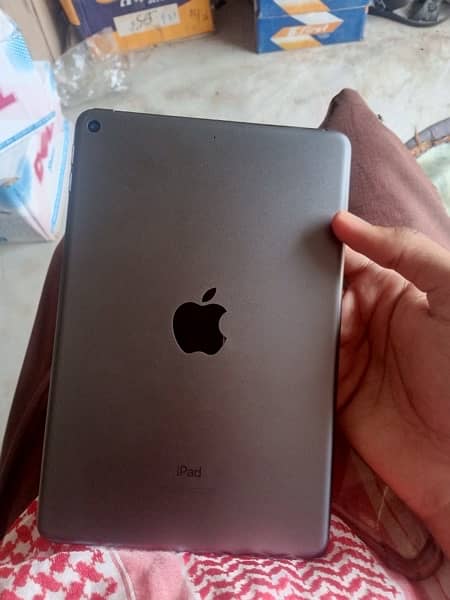 iPad mini5 1