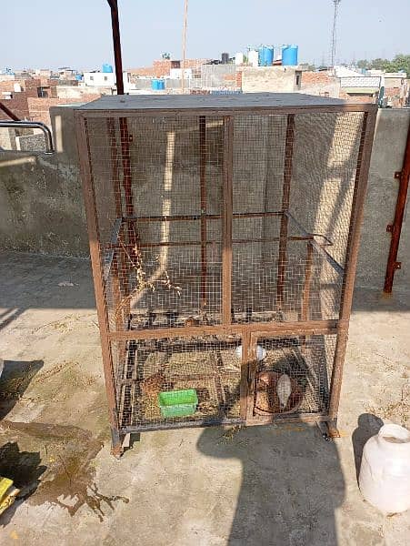 cages for sale 1