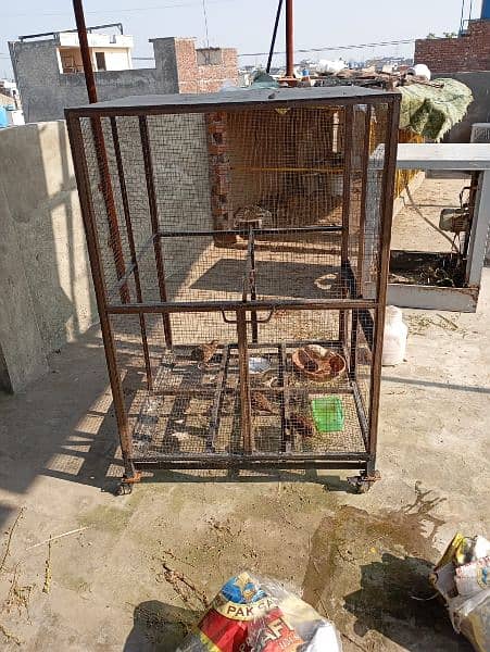 cages for sale 2