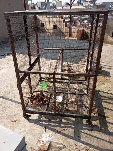 cages for sale 3