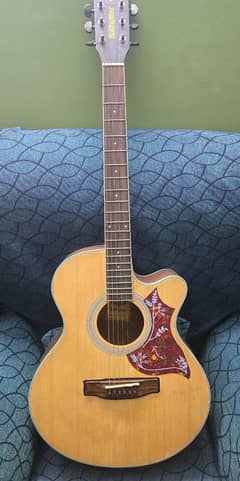 Acoustic Guitar For Sale 0