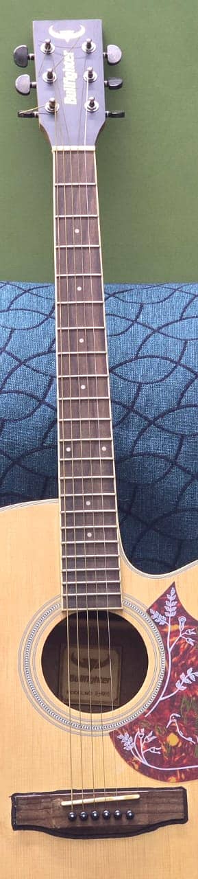 Acoustic Guitar For Sale 1